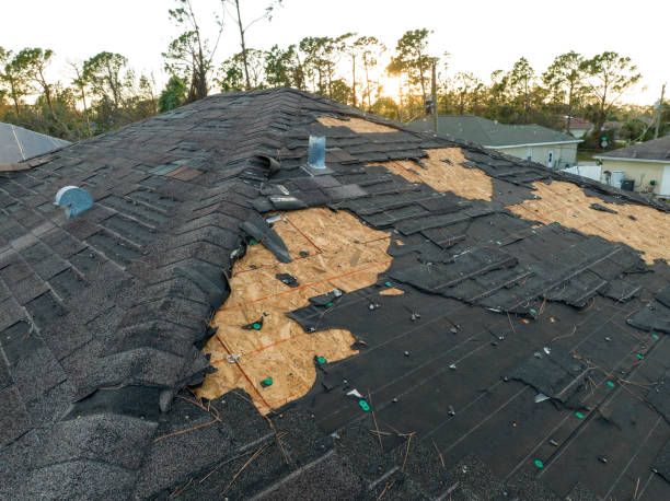 Best Flat Roofing  in Albany, KY