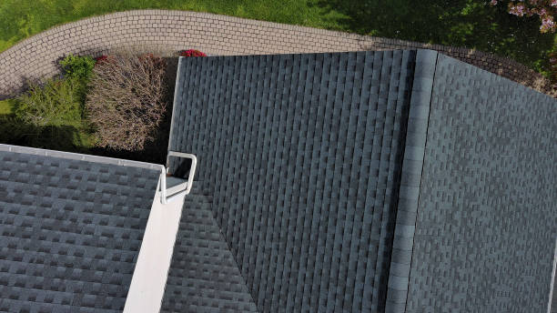 Best Skylight Installation and Repair  in Albany, KY