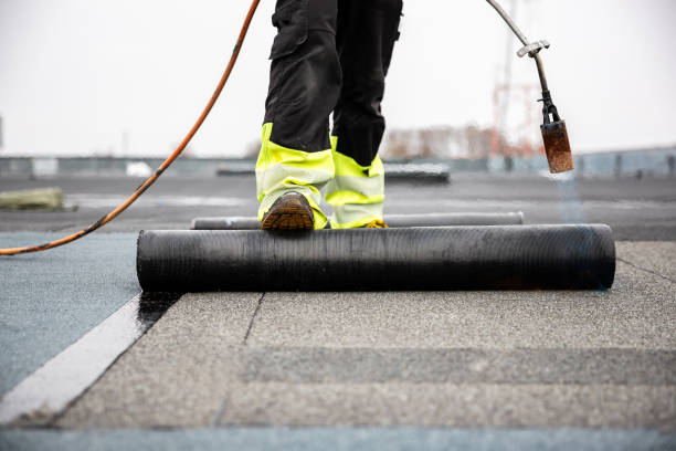 Best Emergency Roof Repair Services  in Albany, KY